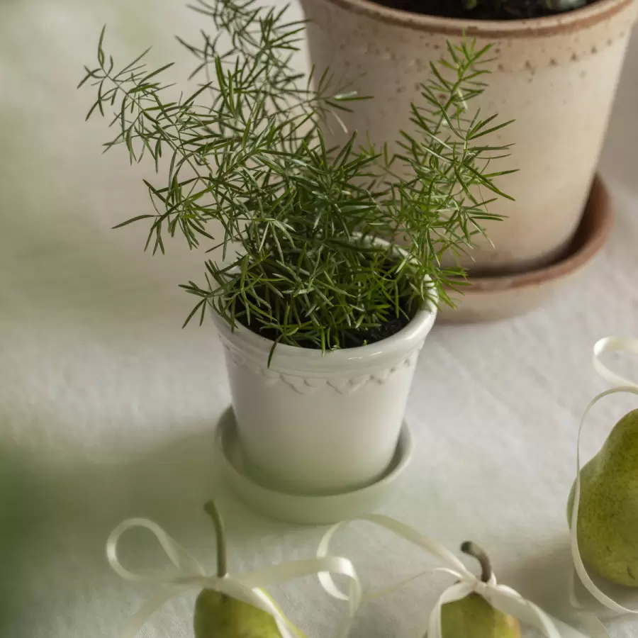 Bergs Potter - Ø:10 Københavnerpotten Glaseret, Mineral White