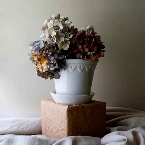 Bergs Potter - Ø:10 Københavnerpotten Glaseret, Mineral White Bergs Potter - Ø:10 Københavnerpotten Glaseret, Mineral White