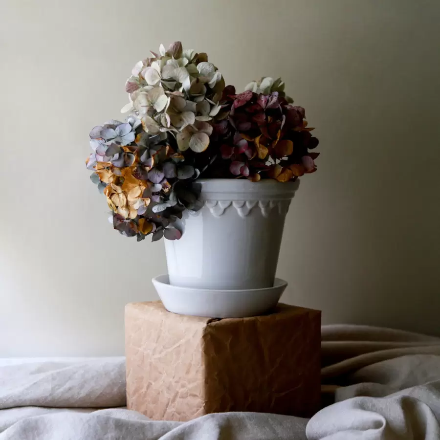 Bergs Potter - Ø:10 Københavnerpotten Glaseret, Mineral White