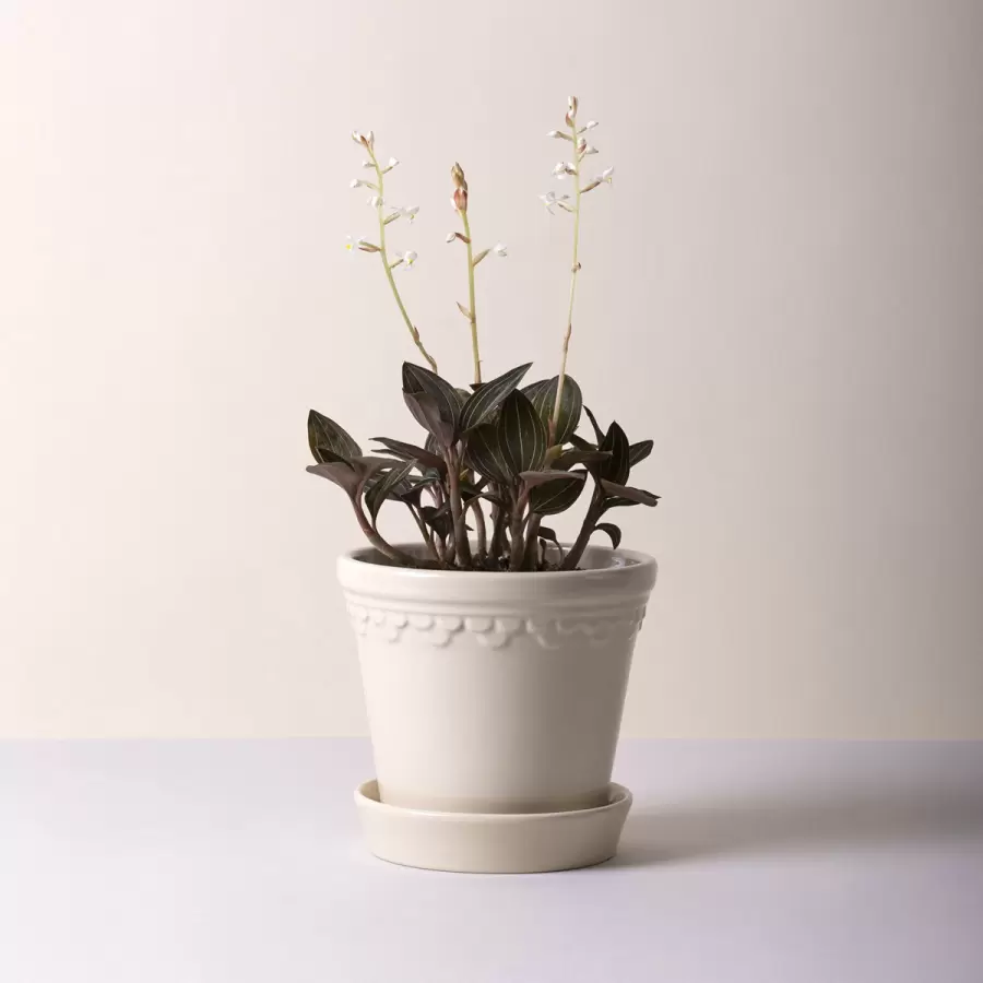 Bergs Potter - Ø:10 Københavnerpotten Glaseret, Sandstone