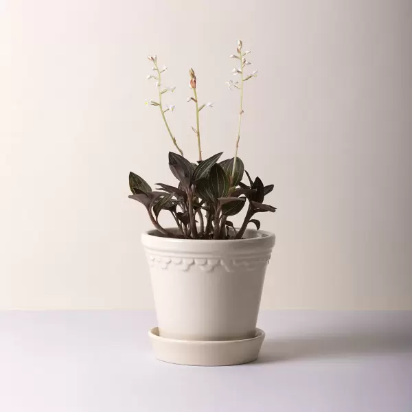 Bergs Potter - Ø:18 Københavnerpotten Glaseret, Sandstone Bergs Potter - Ø:18 Københavnerpotten Glaseret, Sandstone