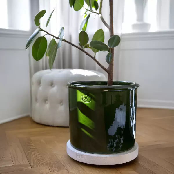 Bergs Potter - Ø:40 Urtepotteskjuler Modena Glaseret, Emerald Green - Hent selv