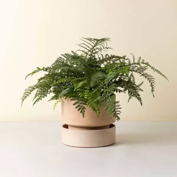 Bergs Potter - Hoff 40 cm. sæt - rosa terracotta