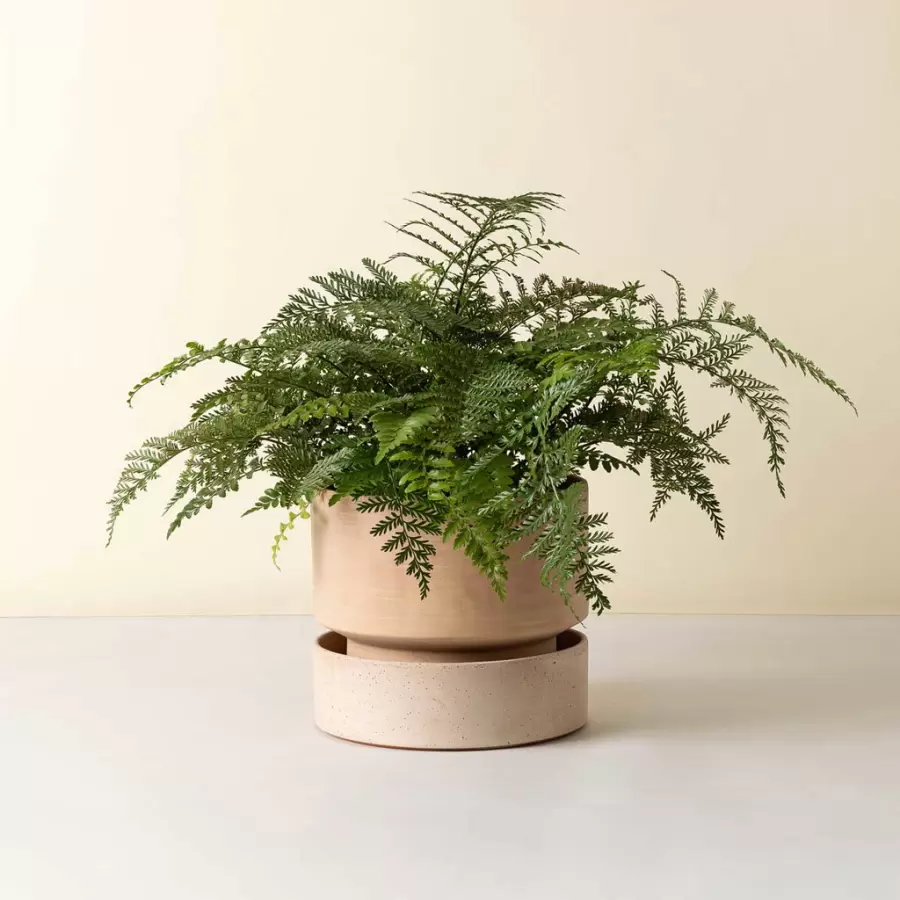 Bergs Potter - Hoff 40 cm. sæt - rosa terracotta