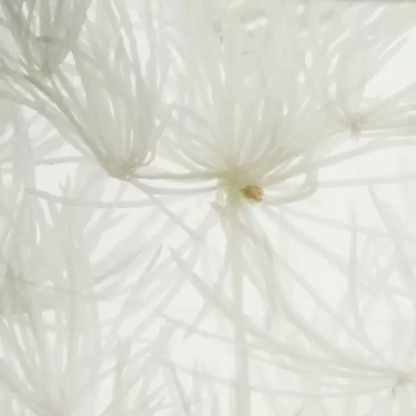 meraki - Diffuser, Lilac Muse