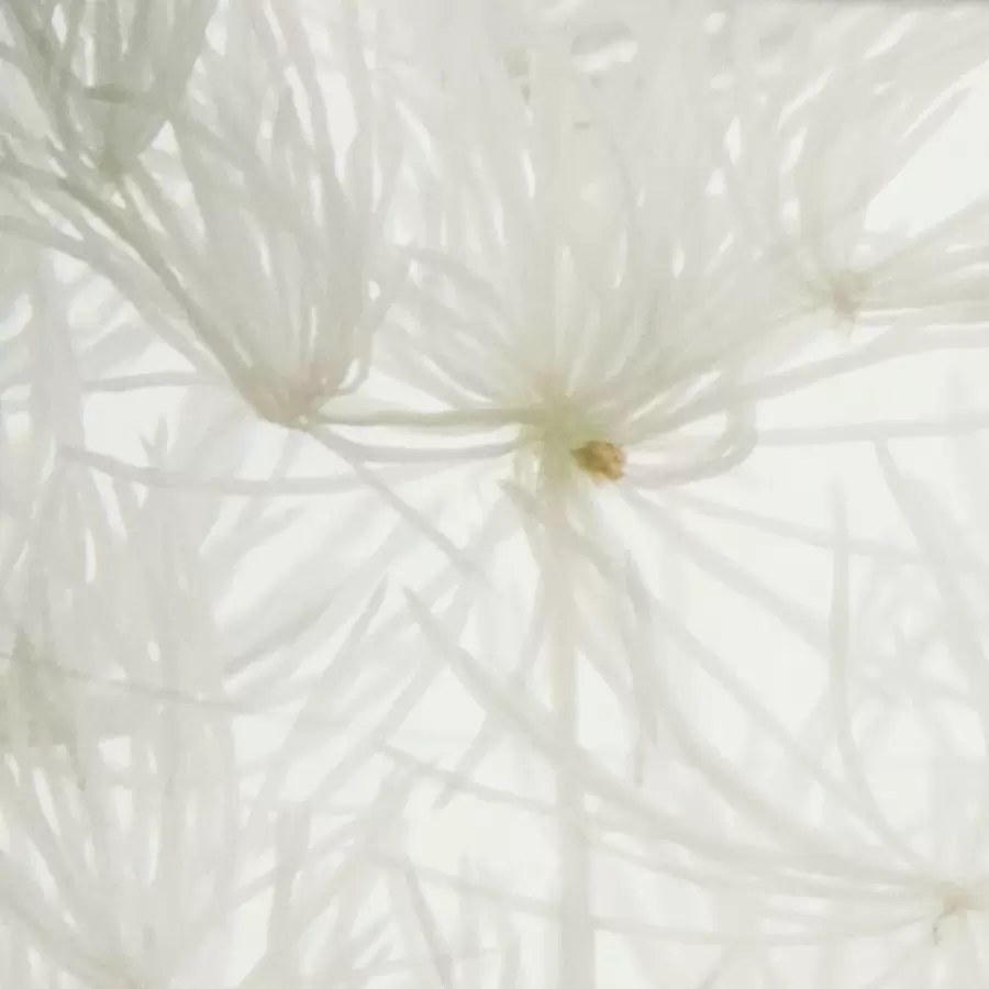 meraki - Diffuser, Lilac Muse