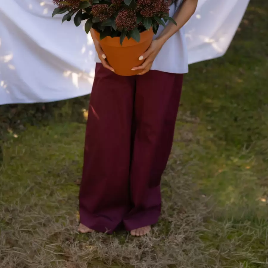 Bongusta - Sahej Bukser, Wine