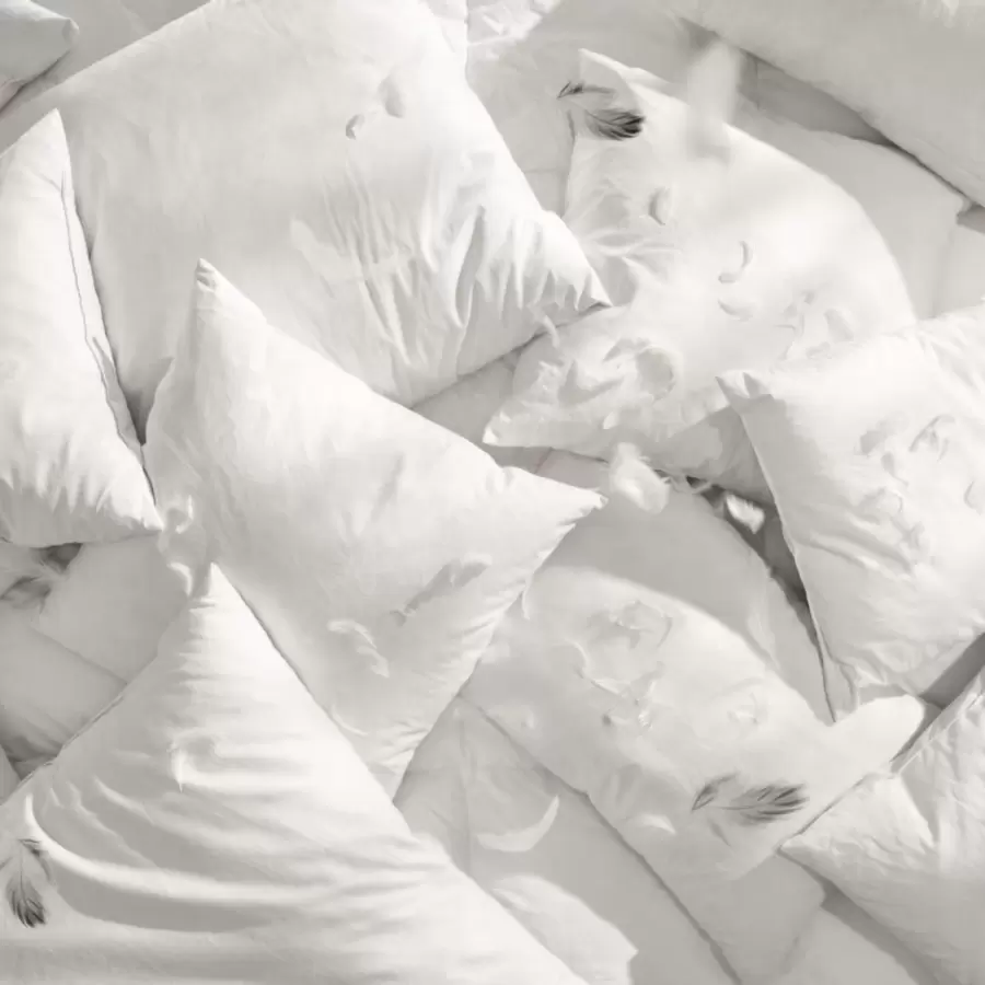 Ib Laursen - Pudefyld 60*60, 850 gr. andefjer og dun