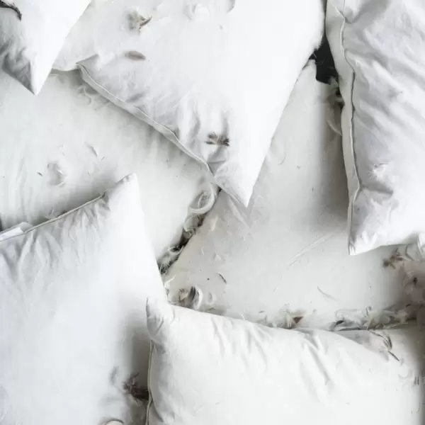 Ib Laursen - Pudefyld 60*60, 850 gr. andefjer og dun