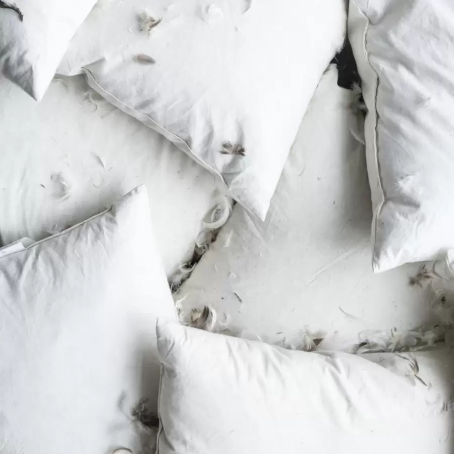 Ib Laursen - Pudefyld 60*60, 850 gr. andefjer og dun