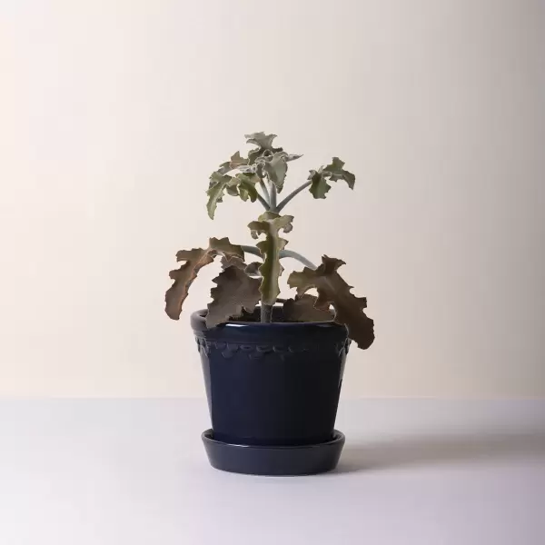 Bergs Potter - Ø:16 Københavnerpotten, Sapphire Blue