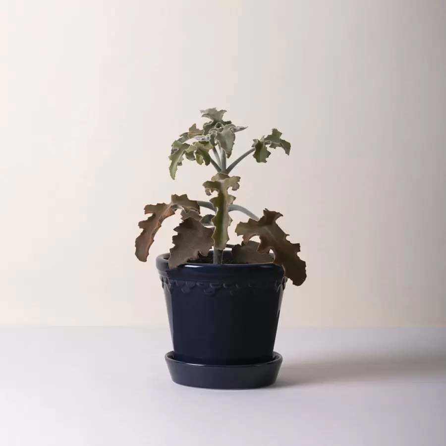 Bergs Potter - Ø:16 Københavnerpotten, Sapphire Blue