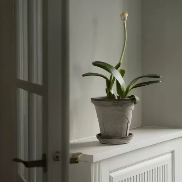 Bergs Potter - Ø:16 Fleur Uglaseret, Grå