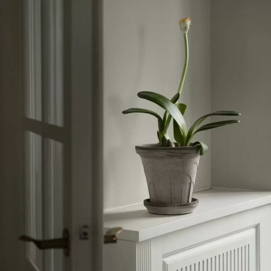 Bergs Potter - Ø:16 Fleur Uglaseret, Grå