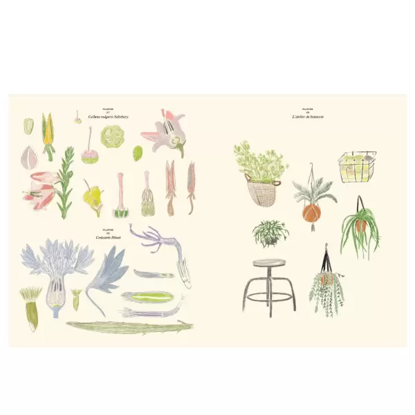 New Mags - Malebog Le Jardin Coloriages et de stickers, Zoé de Las Cases 