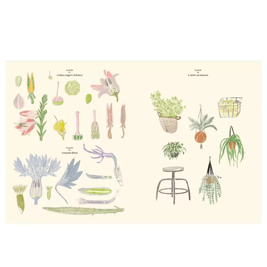 New Mags - Malebog Le Jardin Coloriages et de stickers, Zoé de Las Cases 