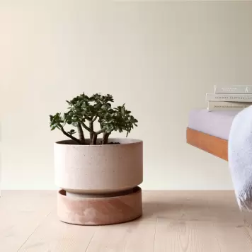 Bergs Potter - Ø:30 Sæt The Hoff Pot Rosa, med underskål - Hent selv Bergs Potter - Ø:30 Sæt The Hoff Pot Rosa, med underskål - Hent selv