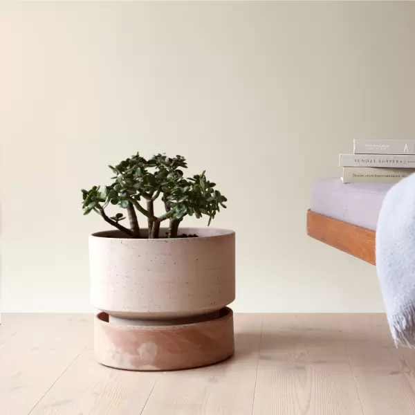 Bergs Potter - Ø:30 Sæt The Hoff Pot Rosa, med underskål - Hent selv Bergs Potter - Ø:30 Sæt The Hoff Pot Rosa, med underskål - Hent selv