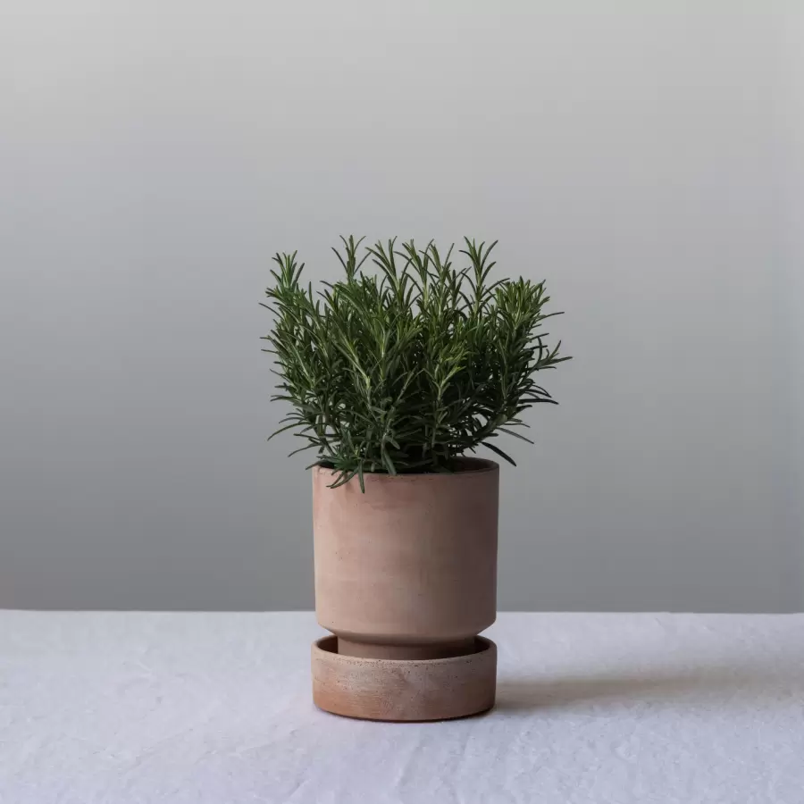 Bergs Potter - Ø:14 Krukke The Hoff Pot Glaseret, fl.farver