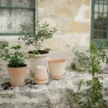 Bergs Potter - Urtepotte Julie, Rosa Ø:25 - Hent selv