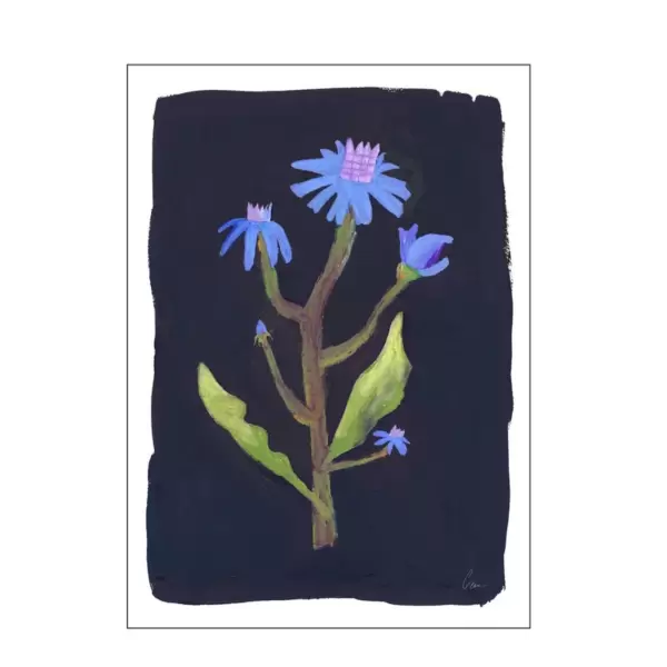 The Poster Club - Night Flower 30*40